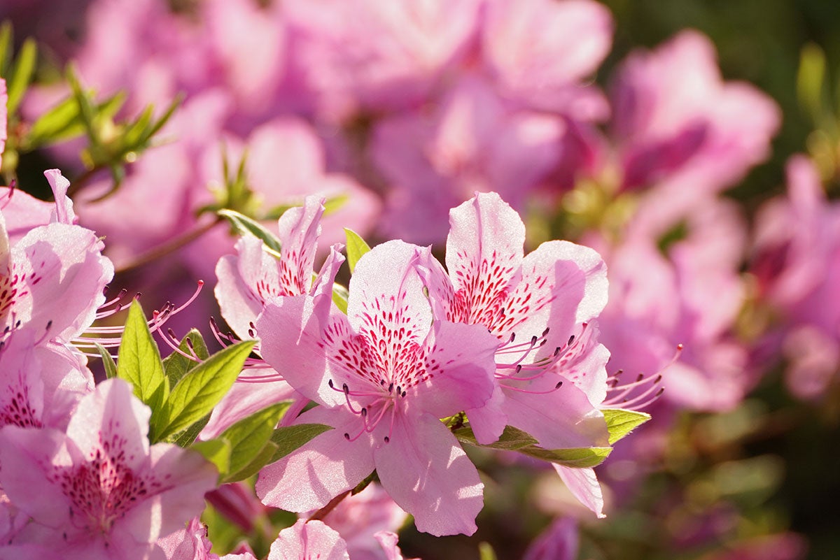 April 2023 Blog Recap