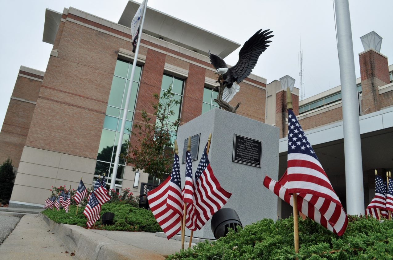 eagle with flag